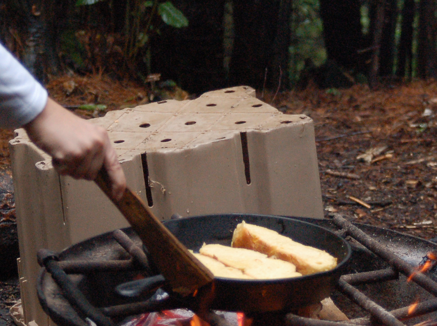 Cast Iron Skillets are Great for Camping